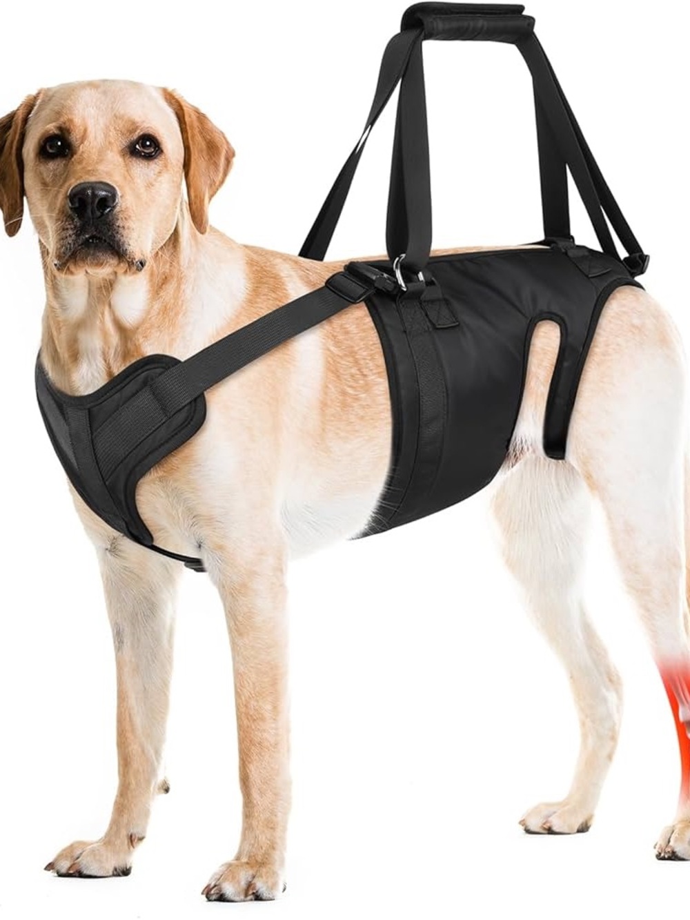 Dog Rear Support Harness Lift Vest - Black